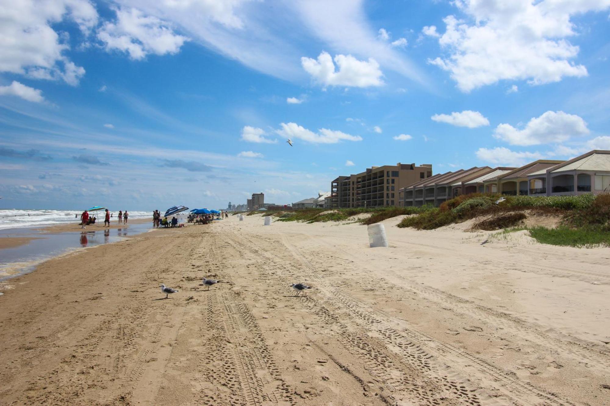 Ventura Villa South Padre Island Oda fotoğraf