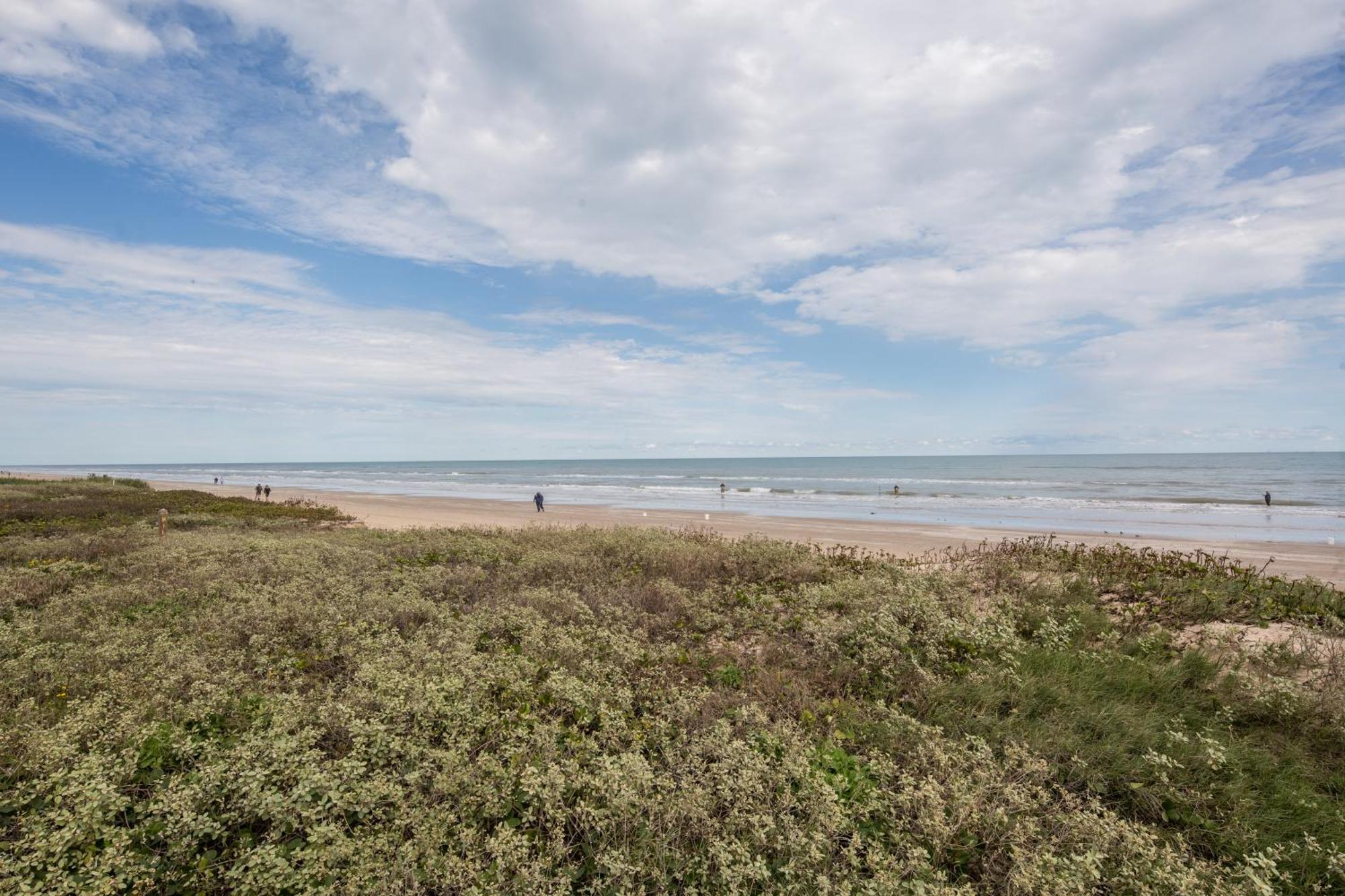 Ventura Villa South Padre Island Oda fotoğraf